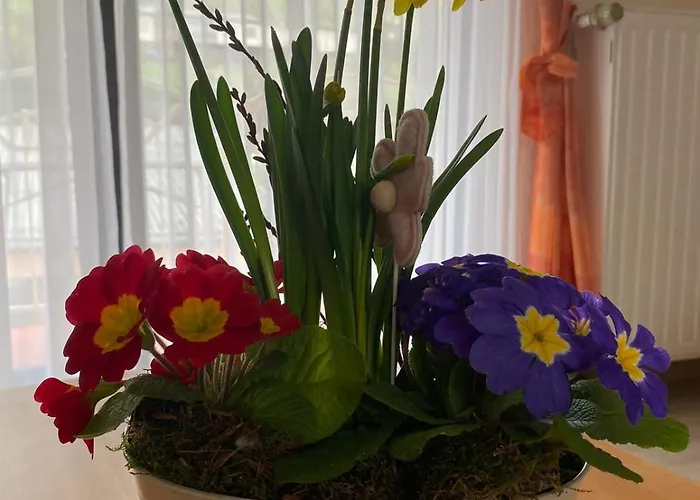 1 Am Petersberg Neef